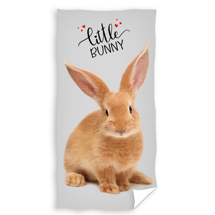 Prosop de baie, Carbotex, Bumbac, Multicolor, 70x140cm