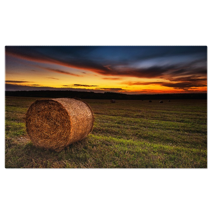 Tablou Canvas - Apus Peste Camp: Paleta de Culori si Agricultura Traditionala 90x60CM