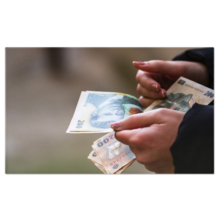 Tablou Canvas - Bancnote Europene, Focalizare pe Lei, Afaceri si Economie 40x25CM