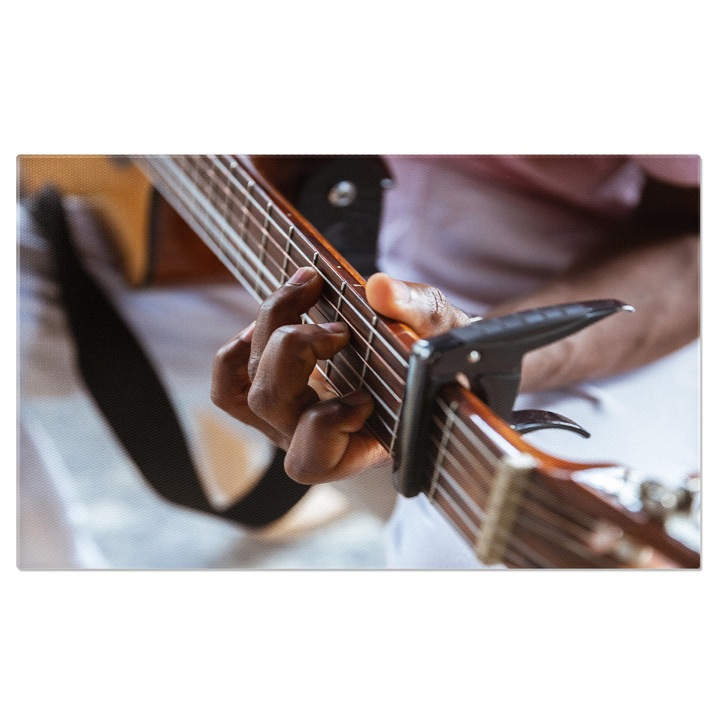 Tablou Canvas - Inspiratie si Arta: Chitara, Emotii, Muzica, Camera, Acasa 40x25CM