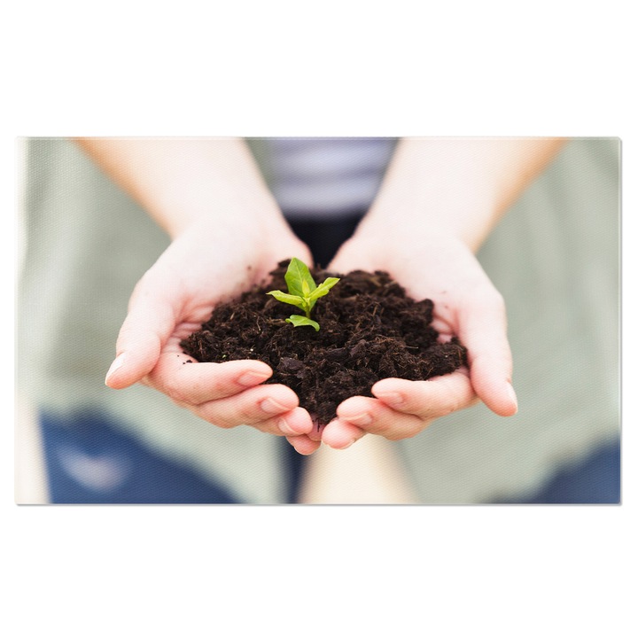 Tablou Canvas: Protejarea mediului - plante, ingrijire, natura, responsabilitate 70x50CM