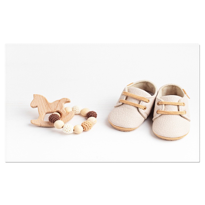 Tablou Canvas Cu Articole pentru Bebelusi: incaltaminte si Accesorii 40x25CM