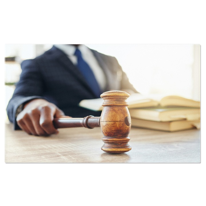 Tablou Canvas: Afaceri si Leadership - Definind Calea Catre Succes in Lumea Corporatista 40x25CM