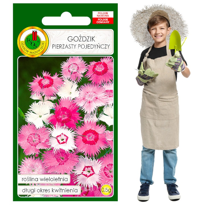 Amestec Colorat De Seminte De Flori, Producator Polonez, Inaltime: 30-40 cm, Inflorire: V-Viii In Al Doilea An De Cultivare, Expunere: Soare Si Semiumbra, Distanta: 20x25 cm, 0,5 G, 900-1000 Seminte La Gram