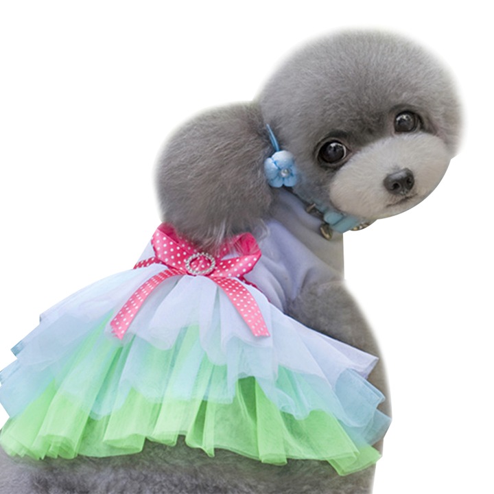 2db-os kutyaruha szett, COZEVDNT, Multicolor, XS