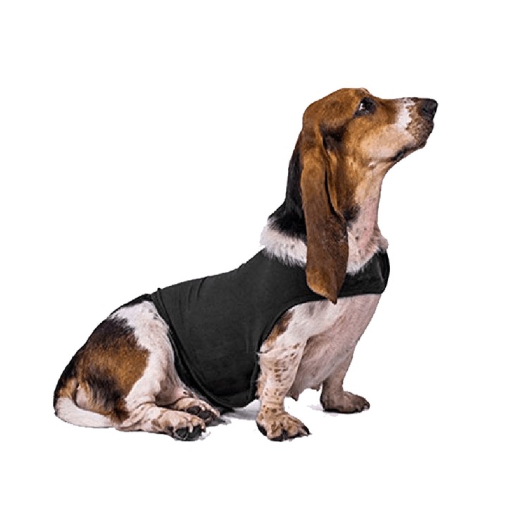 Kutyamellény, állítható, puha és légáteresztő anyag, sötétszürke, S méret