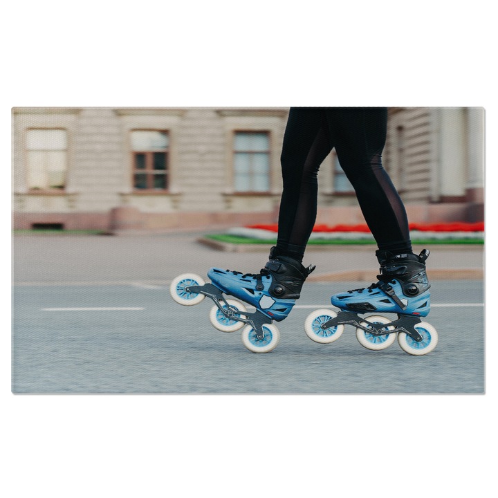 Tablou Canvas - Role pe Role - Recreatie in Aer Liber 40x25CM