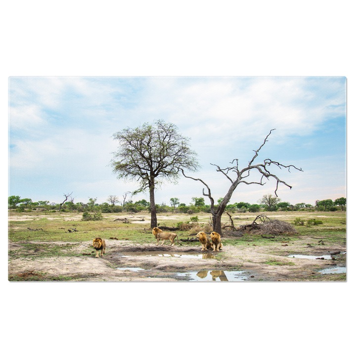 Tablou Canvas: Leii in Natura 40x25CM