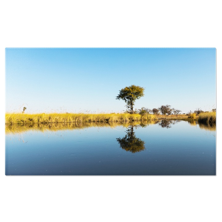 Картина на платно: Канали в делтата на Окаванго - Сафари, Природа, Спокойни води 40x25CM