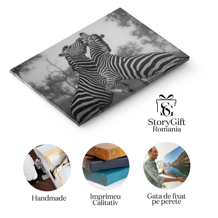 Tablou Canvas: Lupta intre Doua Zebre in Natura 120x80CM