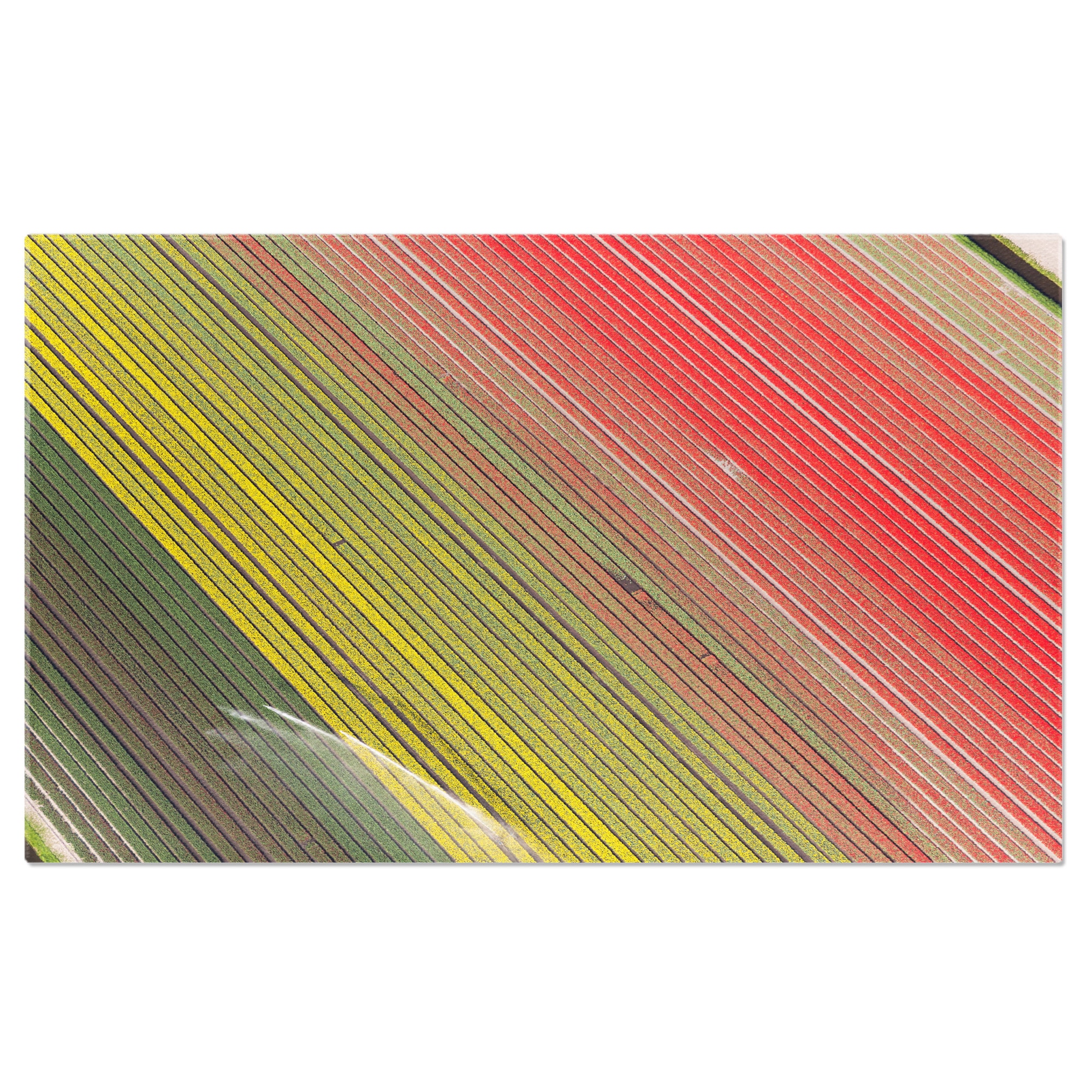 Картина на платно: Поле, пълно с цветни цветя, символ на ...