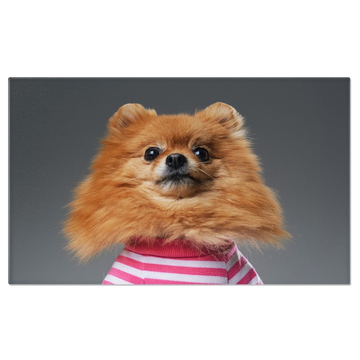 Картина на платно - кученце померан в оранжево, с пухкава козина и очи, пълни с радост 90x60CM