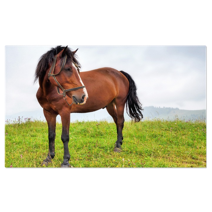 Tablou Canvas - Farmecul Vietii la tara cu Cai si Peisaj Montan, Unde Verdele Marilor intalneste Pajistile 70x50CM