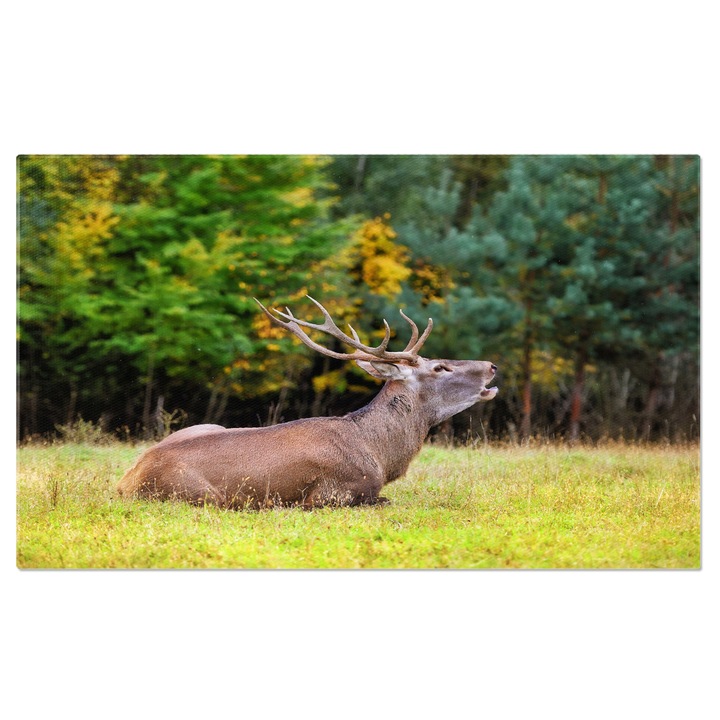 Tablou Canvas Cerb in Padure - Natura si Vanatoare intr-o Stagiu Plin de Culori 140x90CM