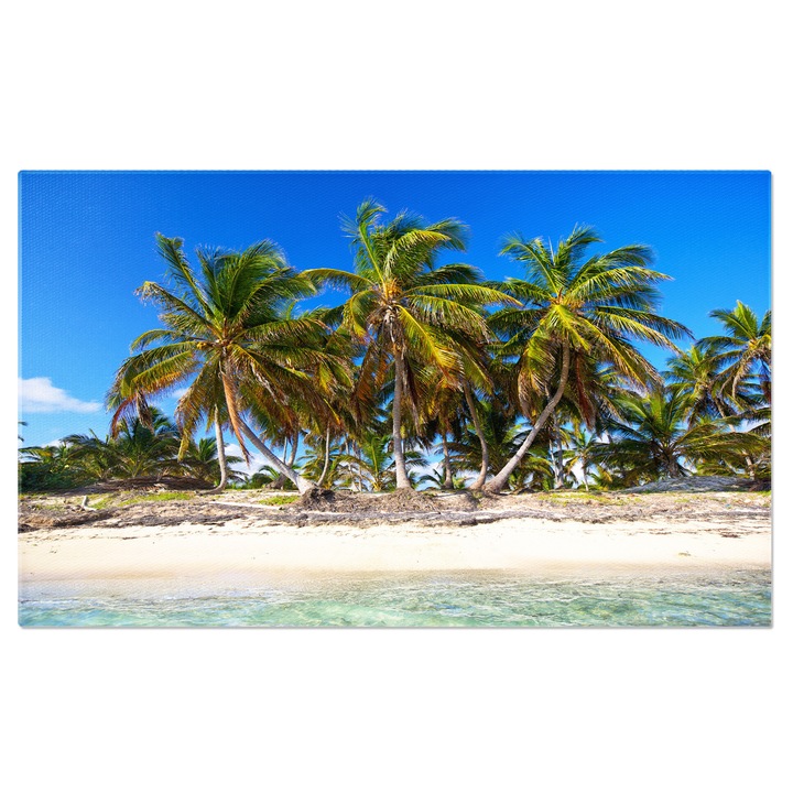 Tablou Canvas - Peisaj Exotic in Republica Dominicana - Plaja cu Palmieri 40x25CM