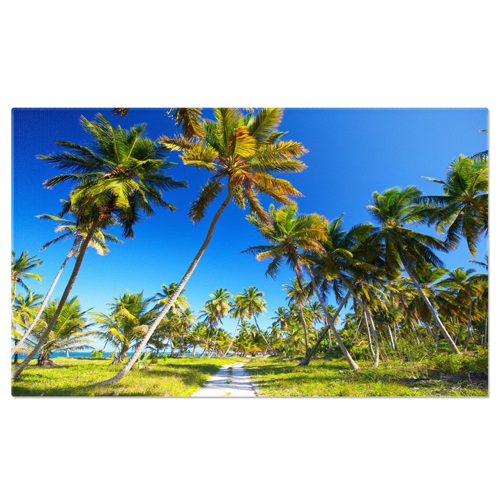 Tablou Canvas - Peisaj Exotic in Republica Dominicana - Culoare si Exotism 70x50CM