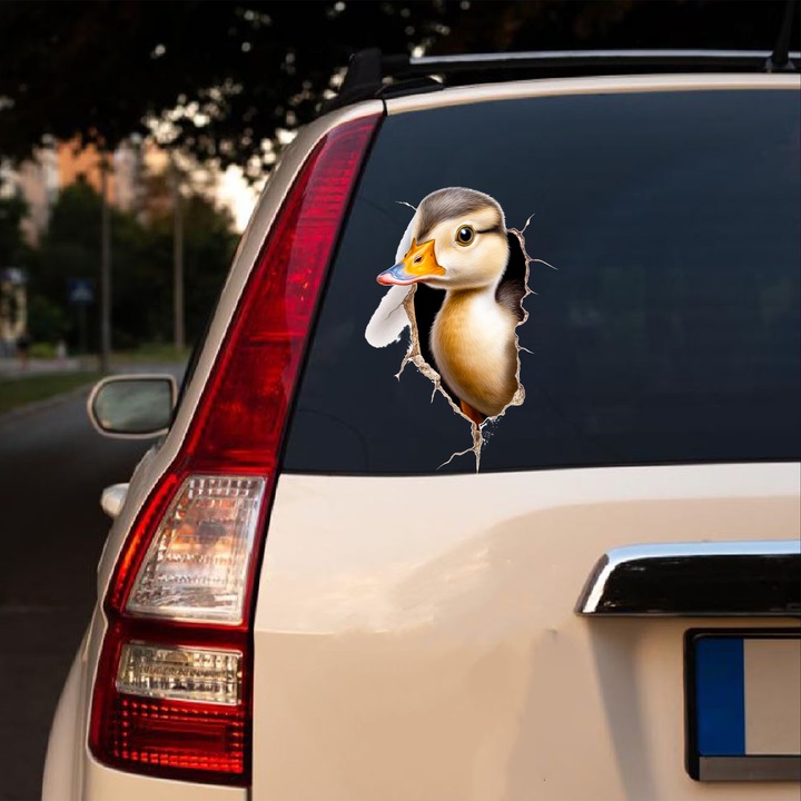 Set sticker decorativ 3d rata model 1, autocolant, 46 cm si 2 brelocuri drumul spre succes