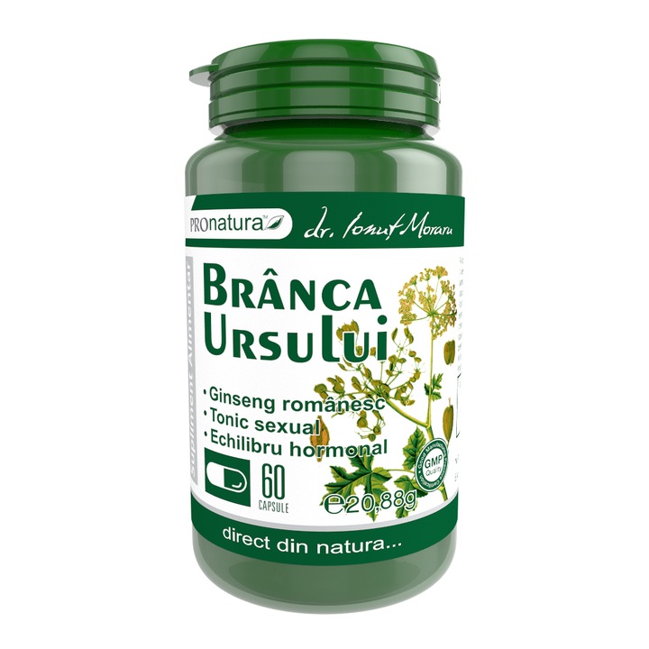 Branca Ursului 60 capsule