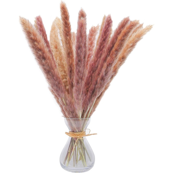 Set 30 fire pampas uscat, 45 cm, Multicolor