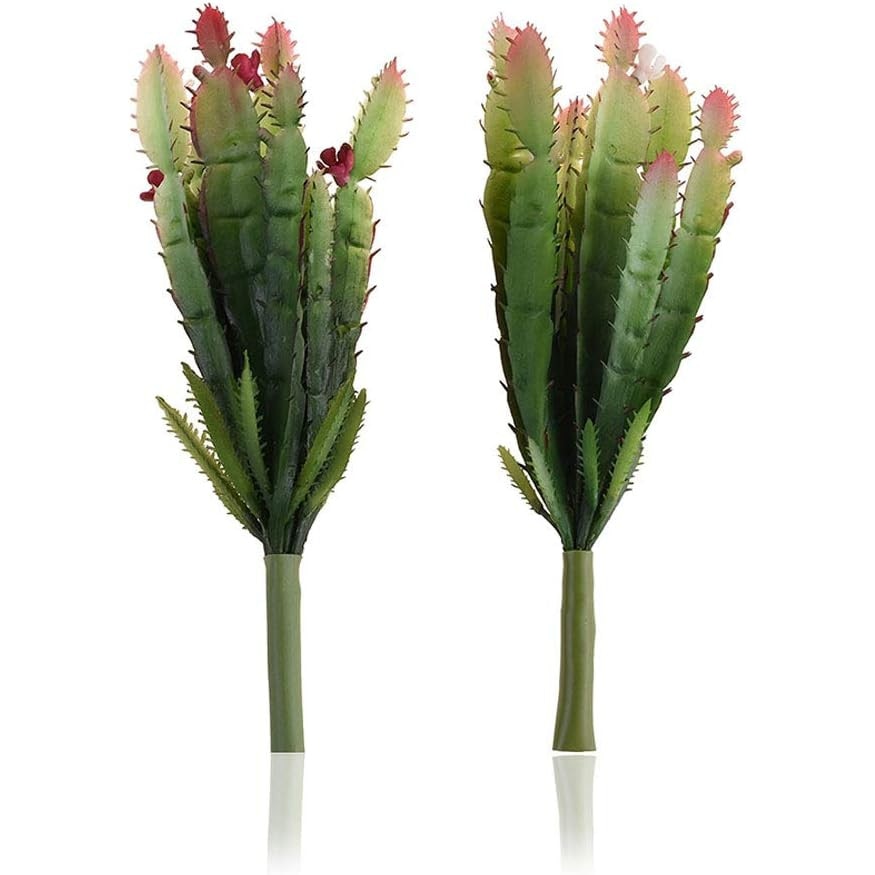 Set 2 Plante Artificiale JeiibrZui Cactus Verde EMAG Ro