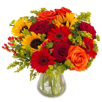 Buchet Raza de Soare, Floraria Amazon, trandafiri, floarea soarelui, rosu si galben Buchet Raza de Soare, Floraria Amazon, trandafiri, floarea soarelui, rosu si galben
