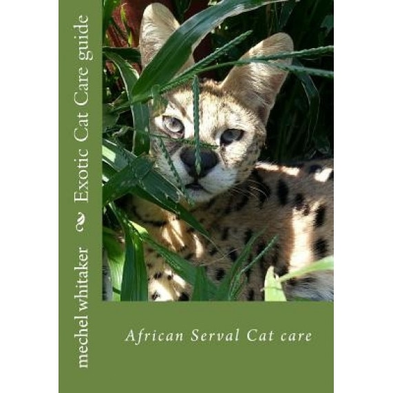 Exotic Cat Care Guide: African Serval Cat Care, Mrs Mechel Whitaker (Author)