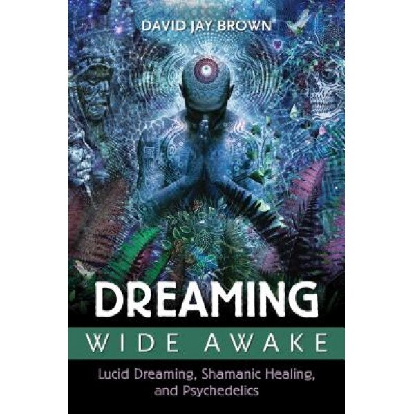 Dreaming Wide Awake: Lucid Dreaming, Shamanic Healing, and Psychedelics - David Jay Brown (Author)