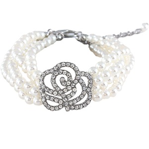 Accesorii animale