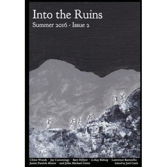 Into the Ruins: Summer 2016, Joel Caris (Author)