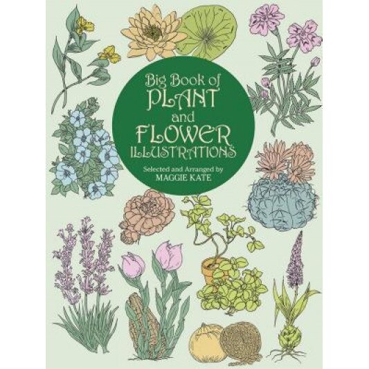 Big Book of Plant and Flower Illustrations, Maggie Kate (Editor)