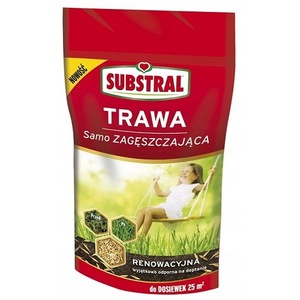 Hagymák, vetőmagok és palánták