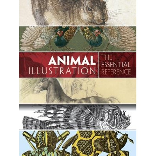Animal Illustration: The Essential Reference, Carol Belanger Grafton (Author)