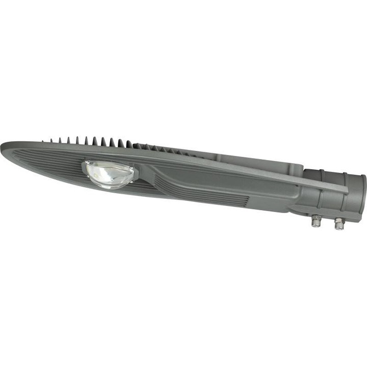 Tracon Electric LED utcai lámpa, 50 W, 4500 K, Szürke