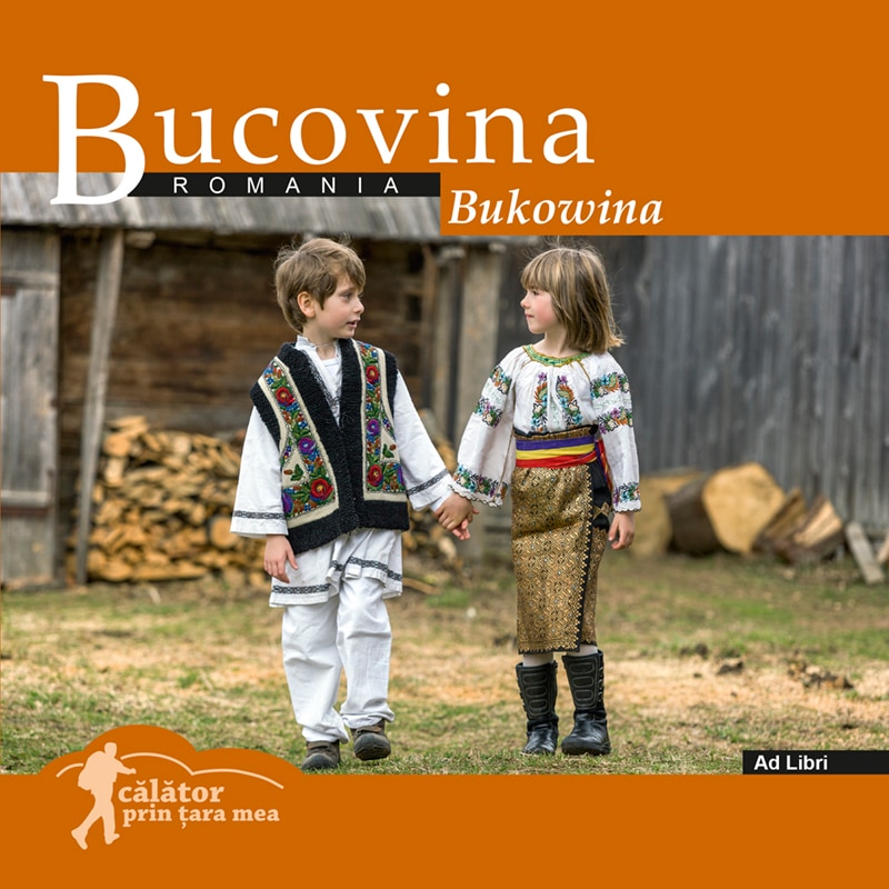 Bucovina - Florin Andreescu