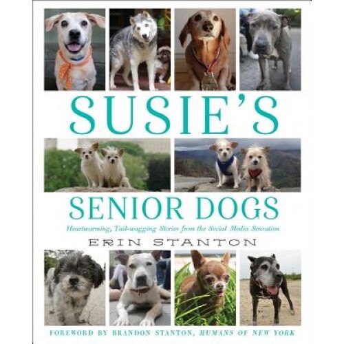Susie's Senior Dogs, Erin O'Sullivan (Author)