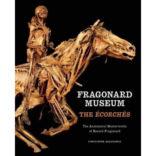 Fragonard Museum: The Ecorches, Christophe Degueurce (Author)