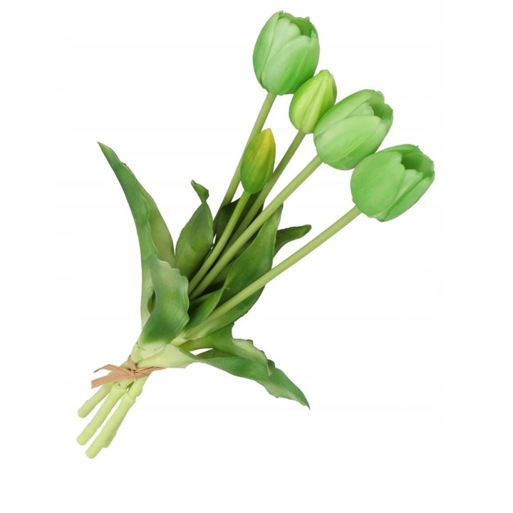 Buchet de lalele, Cauciuc, 40cm, Verde