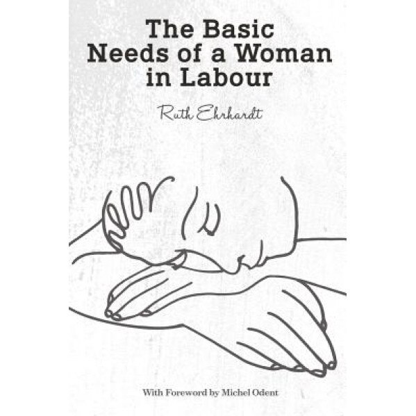The Basic Needs of a Woman in Labour, Ruth Ehrhardt (Author)