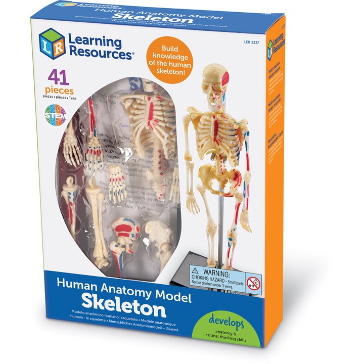 Joc educativ Learning Resources - Macheta corpul uman, Schelet