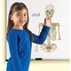 Магнитен комплект Learning Resources, Human Body