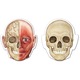 Магнитен комплект Learning Resources, Human Body