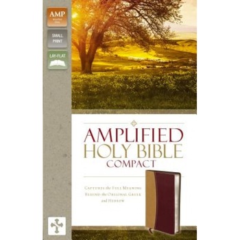 Amplified Bible-Am-Compact: Captures the Full Meaning Behind the Original Greek and Hebrew, Zondervan Bibles (Manufactured by) Amplified Bible-Am-Compact: Captures the Full Meaning Behind the Original Greek and Hebrew, Zondervan Bibles (Manufactured by)