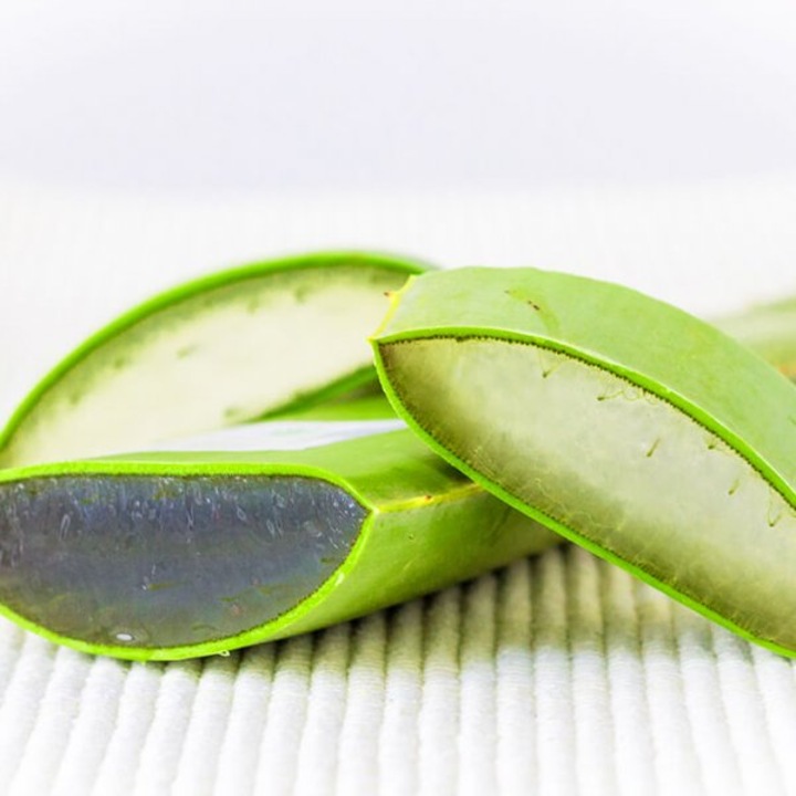 was bringt aloe vera gel Aloe Lavendel Gel Bio – Sanfte Pflege für strapazierte Haut – Oshadhi main image 0