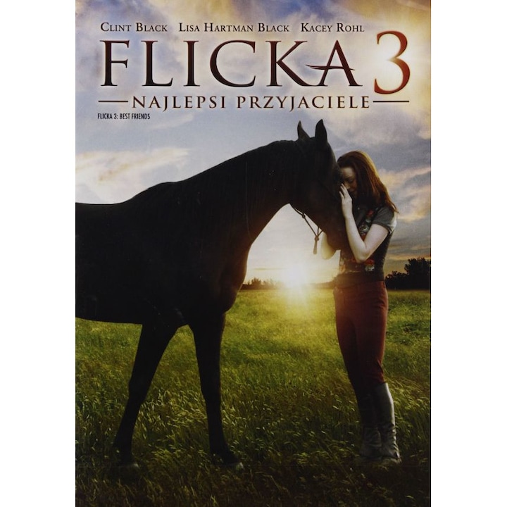 Флика 3: Най-добри приятели [DVD]