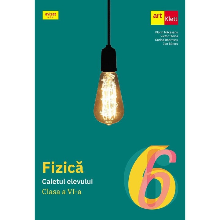 Fizica. Caietul elevului. Clasa a VI-a, Florin Macesanu