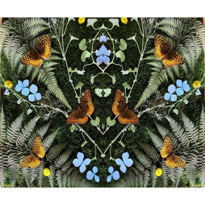 Jean-Michael Blais: Aubades [CD]