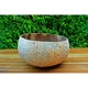 Bol natural din nuca de cocos, Cocobol Natural - Mare