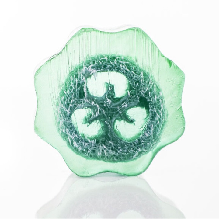 Sapun exfoliant cu lufa, Ancient Wisdom, 1,8 kg, Struguri, 32x8cm