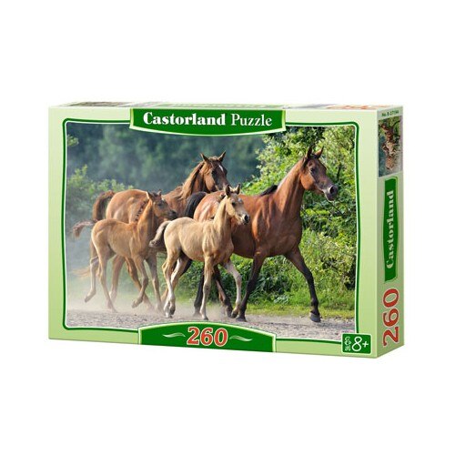 Puzzle cu 260 de piese, Purebread arabians.