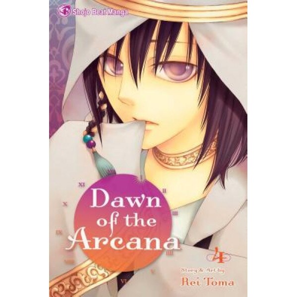 Dawn of the Arcana, Volume 4, Rei Toma (Author)